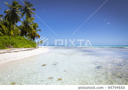 Tropical beach in caribbean sea, idyllic Saona island, Dominican Republic 99794688
