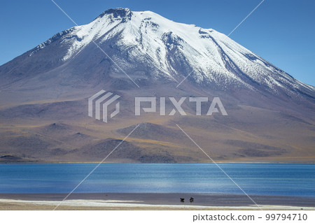 Salt lake, turquoise Laguna Miscanti, volcanic landscape at sunrise, Atacama 99794710