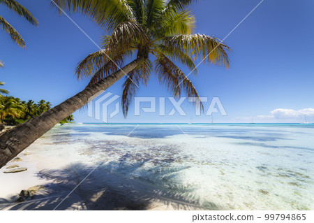 Boats and tropical beach in caribbean sea, Saona island, Dominican Republic 99794865