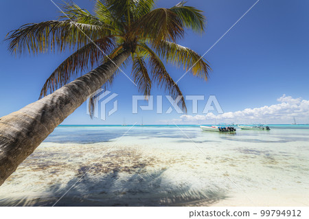 Boats and tropical beach in caribbean sea, Saona island, Dominican Republic 99794912