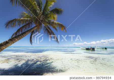 Boats and tropical beach in caribbean sea, Saona island, Dominican Republic Boats and tropical beach in caribbean sea, Saona island, Dominican Republic 99794934