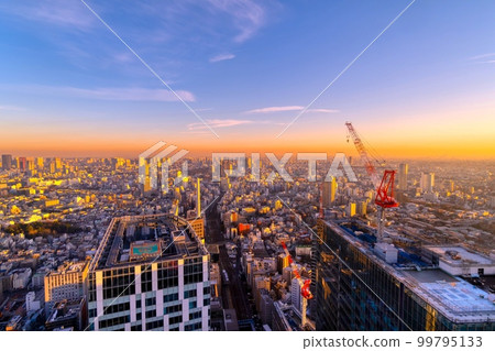 東京：大城市的夜景 99795133