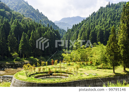 Beautiful view of the Sun-Link-Sea Forest Recreation Area in Nantou, Taiwan. 99795146