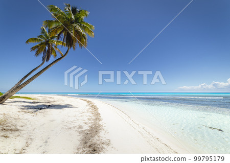 Tropical beach in caribbean sea, idyllic Saona island, Dominican Republic Tropical beach in caribbean sea, idyllic Saona island, Dominican Republic 99795179