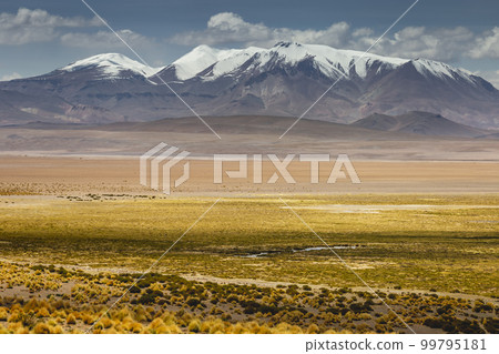 Atacama Desert dramatic volcanic landscape at Sunset, Chile, South America 99795181