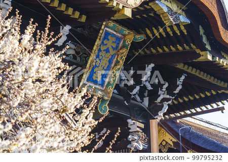 Kitano Tenmangu Shrine Sankomon Gate in early spring Beautifully blooming white plum blossoms (Bakuro-cho, Kamigyo-ku, Kyoto) 99795232