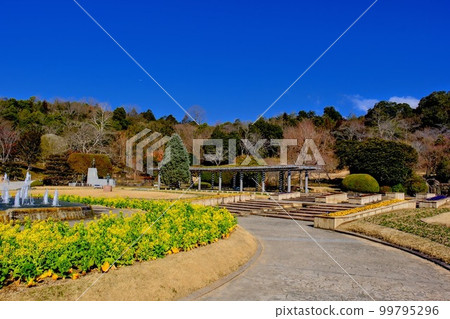 Hyogo Prefectural Kasai Flower Center Hyogo Prefectural Kasai Flower Center 99795296