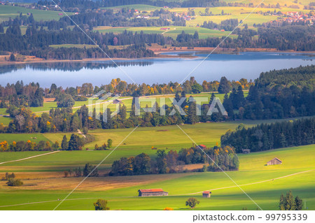 Forggensee Lake in Bavarian alps at golden autumn, Bavaria, Germany Forggensee Lake in Bavarian alps at golden autumn, Bavaria, Germany 99795339