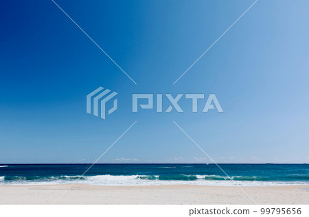 Early March, Kujihama Beach, Ibaraki Prefecture 99795656