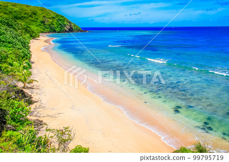 Tropical sandy beach at summer day in Fiji Islands, Pacific ocean 99795719