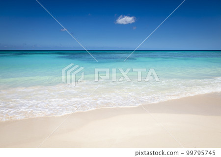 Tropical beach in caribbean sea, idyllic Saona island, Dominican Republic Tropical beach in caribbean sea, idyllic Saona island, Dominican Republic 99795745
