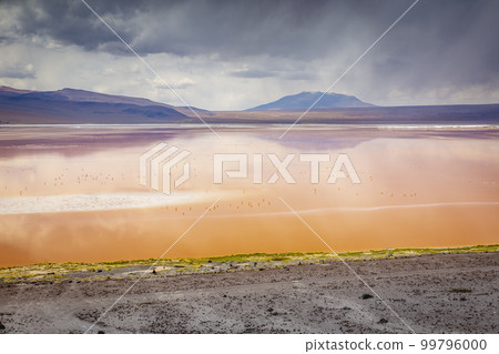 Laguna colorada, Red lake, with Flamingos and Volcanic landscape, Andes, Bolivia Laguna colorada, Red lake, with Flamingos and Volcanic landscape, Andes, Bolivia 99796000
