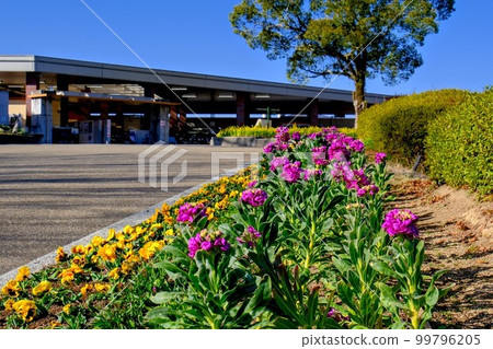 Hyogo Prefectural Kasai Flower Center Hyogo Prefectural Kasai Flower Center 99796205