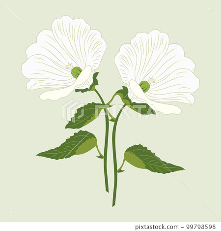 Hand drawn white lily flowers. Postcard, greeting illustration, vector Hand drawn white lily flowers. Postcard, greeting illustration, vector 99798598