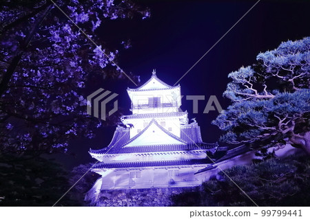 [高知縣]櫻花點亮的高知城夜景（天守閣） 99799441