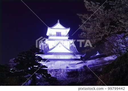 [高知縣]櫻花點亮的高知城夜景（天守閣） 99799442