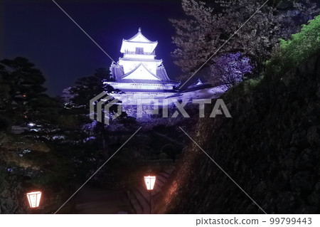 [Kochi Prefecture] Night view of Kochi Castle with cherry blossoms lit up (castle tower) 99799443