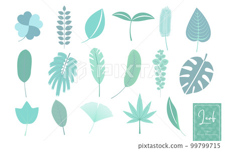 植物、熱帶、自然、生態圖像葉簡單矢量圖標插圖集藍綠色 植物、熱帶、自然、生態圖像葉簡單矢量圖標插圖集藍綠色 99799715