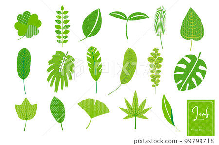 Botanical, tropical, natural leaf simple vector icon illustration set_with fashionable pattern Botanical, tropical, natural leaf simple vector icon illustration set_with fashionable pattern 99799718