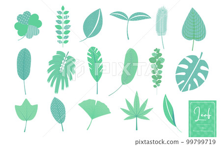 植物、熱帶和天然樹葉的簡單矢量圖標插圖集_藍綠色時尚圖案 植物、熱帶和天然樹葉的簡單矢量圖標插圖集_藍綠色時尚圖案 99799719