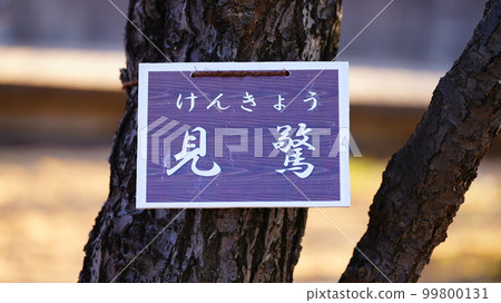 令人驚嘆的招牌具有歷史感，傳統感和自然感。 99800131
