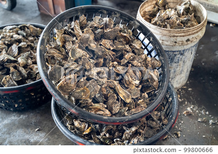 牡蠣 蚵 烤蚵 台南 七股 台灣 小吃 Grilled oyster オイスター 99800666