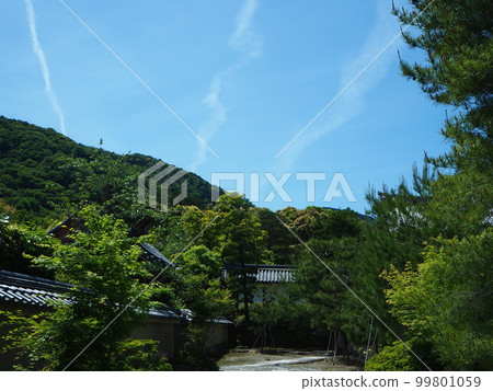 清新的綠色嵐山天龍寺 99801059
