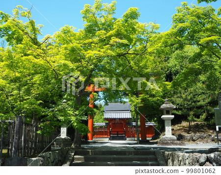 清新的綠色嵐山天龍寺 99801062