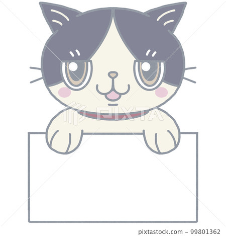 有招牌的 Hachiware 貓 有招牌的 Hachiware 貓 99801362