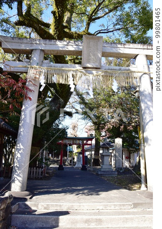 Shizuoka City Uomachi Inari Shrine (Shimizu Soccer Shrine) Torii and approach 99801465