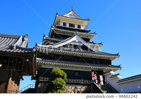 [Oita Prefecture] Nakatsu Castle in fine weather 99802242