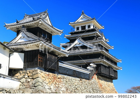 [Oita Prefecture] Nakatsu Castle in fine weather The castle tower and Otari turret 99802243