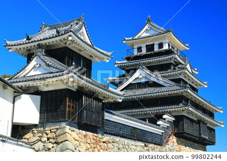 [Oita Prefecture] Nakatsu Castle in fine weather The castle tower and Otari turret 99802244
