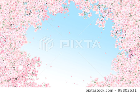 Cherry blossoms in full bloom and petals, small illustration material -light blue gradation background- with different colors and differences Cherry blossoms in full bloom and petals, small illustration material -light blue gradation background- with different colors and differences 99802631