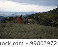 cows, wide meadows and sky 99802972