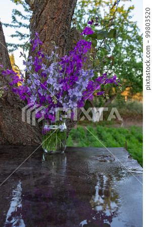 Beautiful bouquet of home flowers - blue and purple delphinium in a jar of water 99803520