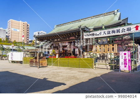 Osaka Tenmangu Shrine Main Hall, plum blossom season (Tenjinbashi, Kita Ward, Osaka City) Osaka Tenmangu Shrine Main Hall, plum blossom season (Tenjinbashi, Kita Ward, Osaka City) 99804014