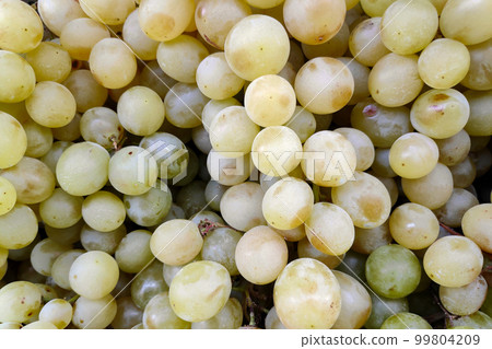 Stack of White Grapes on a market stall 99804209