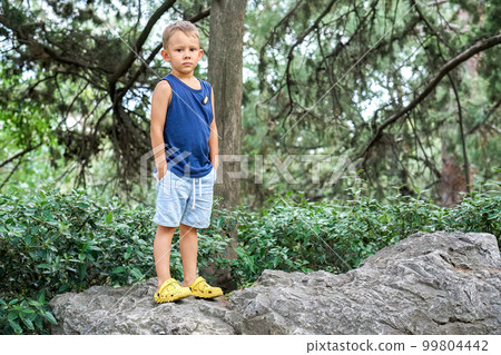 Little boy stands hiding hands in pockets on rock in coniferous forest. Toddler child rests during walk in wild wood on summer day Little boy stands hiding hands in pockets on rock in coniferous forest. Toddler child rests during walk in wild wood on summer day 99804442