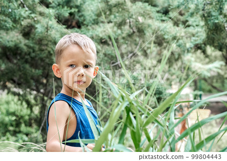 Cute blond boy stands near lush plant with long green leaves looking in camera. Curious preschooler enjoys nature at summer resort closeup Cute blond boy stands near lush plant with long green leaves looking in camera. Curious preschooler enjoys nature at summer resort closeup 99804443