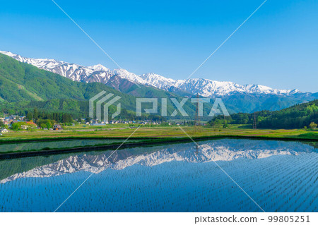 [初夏材料]白馬村和北阿爾卑斯山[長野縣]插秧前的稻田 99805251