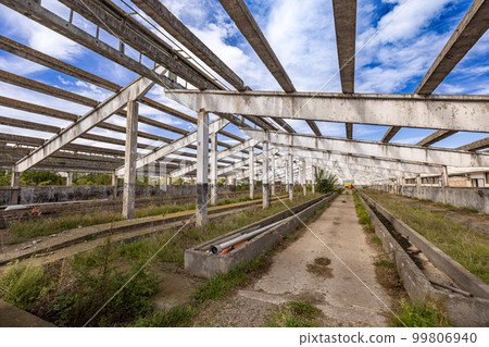 Ruined cowshed building 99806940