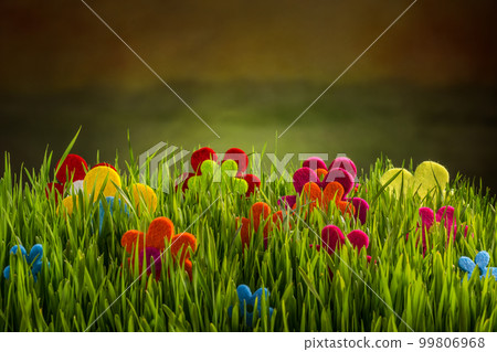 Felt flowers Felt flowers 99806968