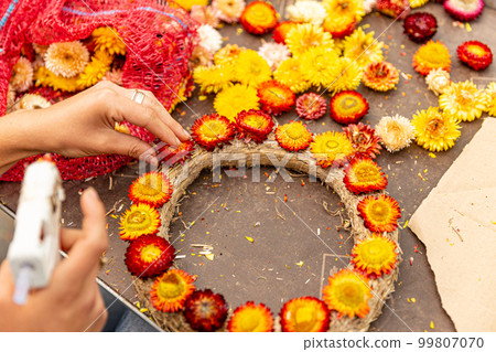 Florist stick xeranthemum 99807070