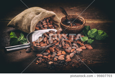 Still life of cocoa Still life of cocoa 99807703