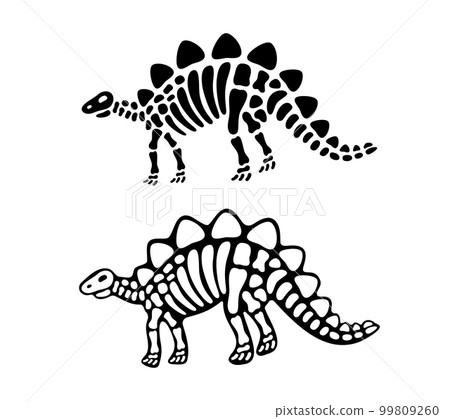 Stegosaurus bones and skull. Stegosaurus skeleton. Prehistoric animal silhouette. Paleontology and archeology. Prehistoric creature bones 99809260