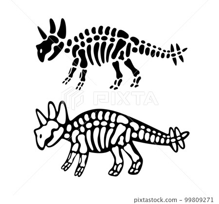 Triceratops bones and skull. Triceratops skeleton. Prehistoric animal silhouette. Paleontology and archeology. Prehistoric creature bones 99809271