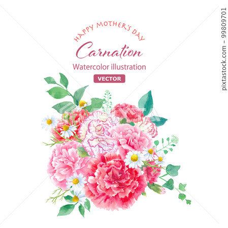 Watercolor illustration of various carnations. arrangement. Mother's Day decoration (vector. Flower layout can be changed) 99809701
