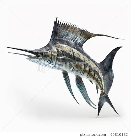 fish, tuna, swordfish 99810182