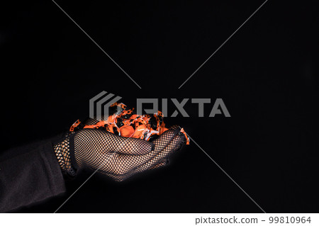 Candy with the inscription Halloween. Beautiful banner on a black background copy space for text. A woman holds an orange candy. Candy with the inscription Halloween. Beautiful banner on a black background copy space for text. A woman holds an orange candy. 99810964
